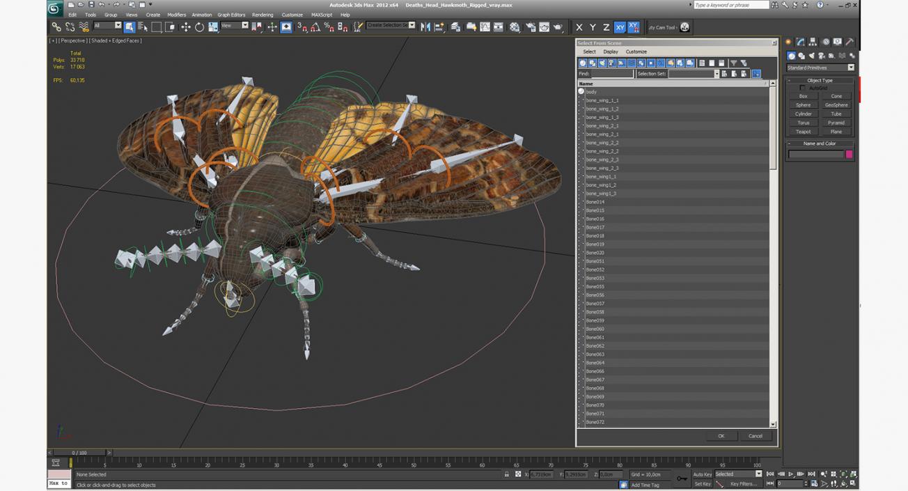 Deaths Head Hawkmoth Rigged 3D