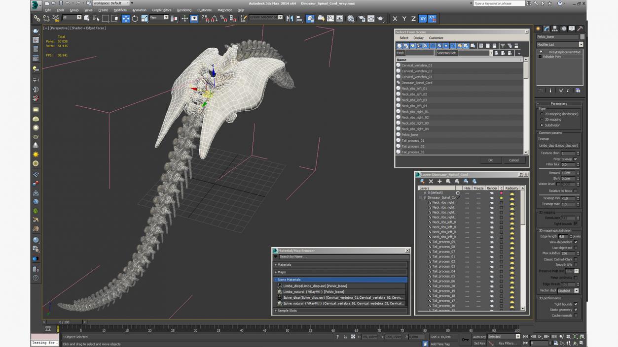 3D model Dinosaur Spinal Cord