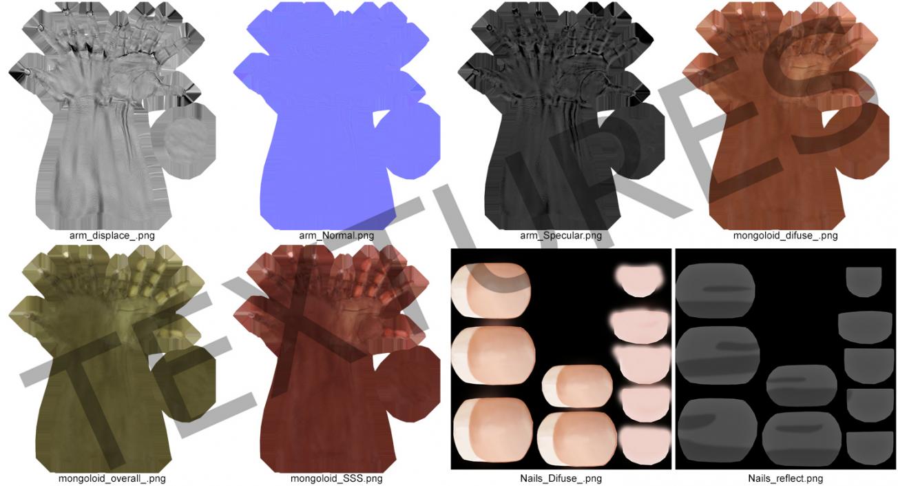 Asian/ Americas Female Hand Short Nails 3D model