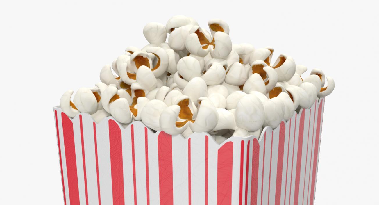 3D Paper Popcorn Container model