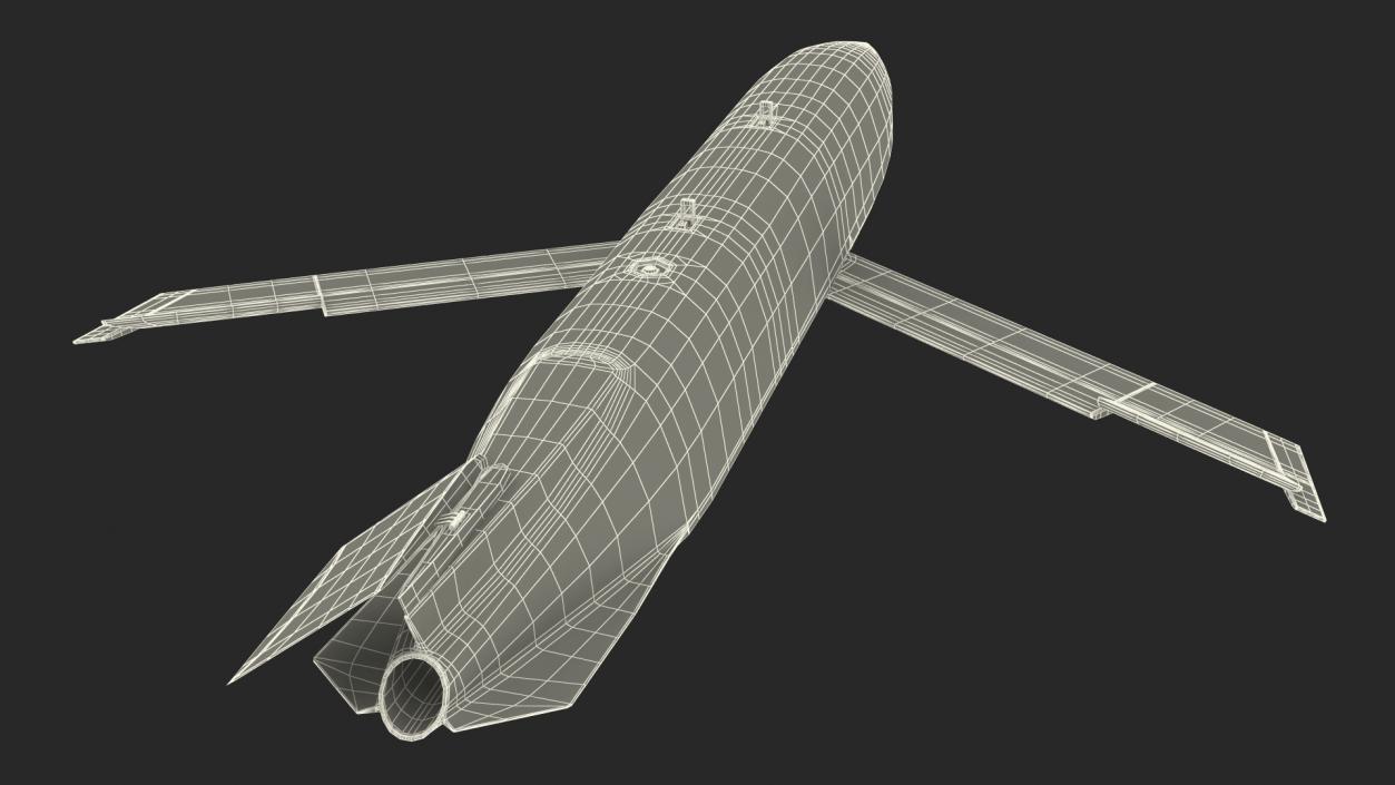 Air-Launched Cruise Missile Rigged 3D model