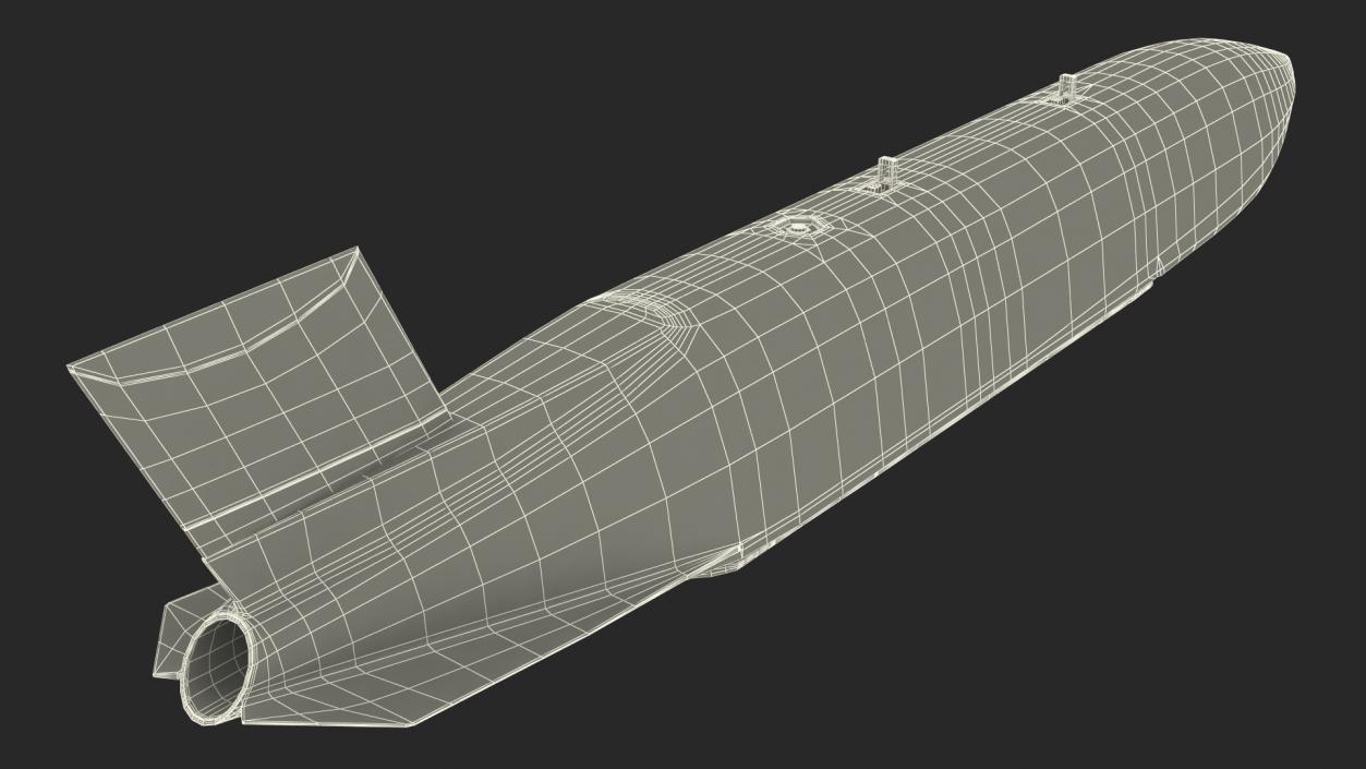 Air-Launched Cruise Missile Rigged 3D model