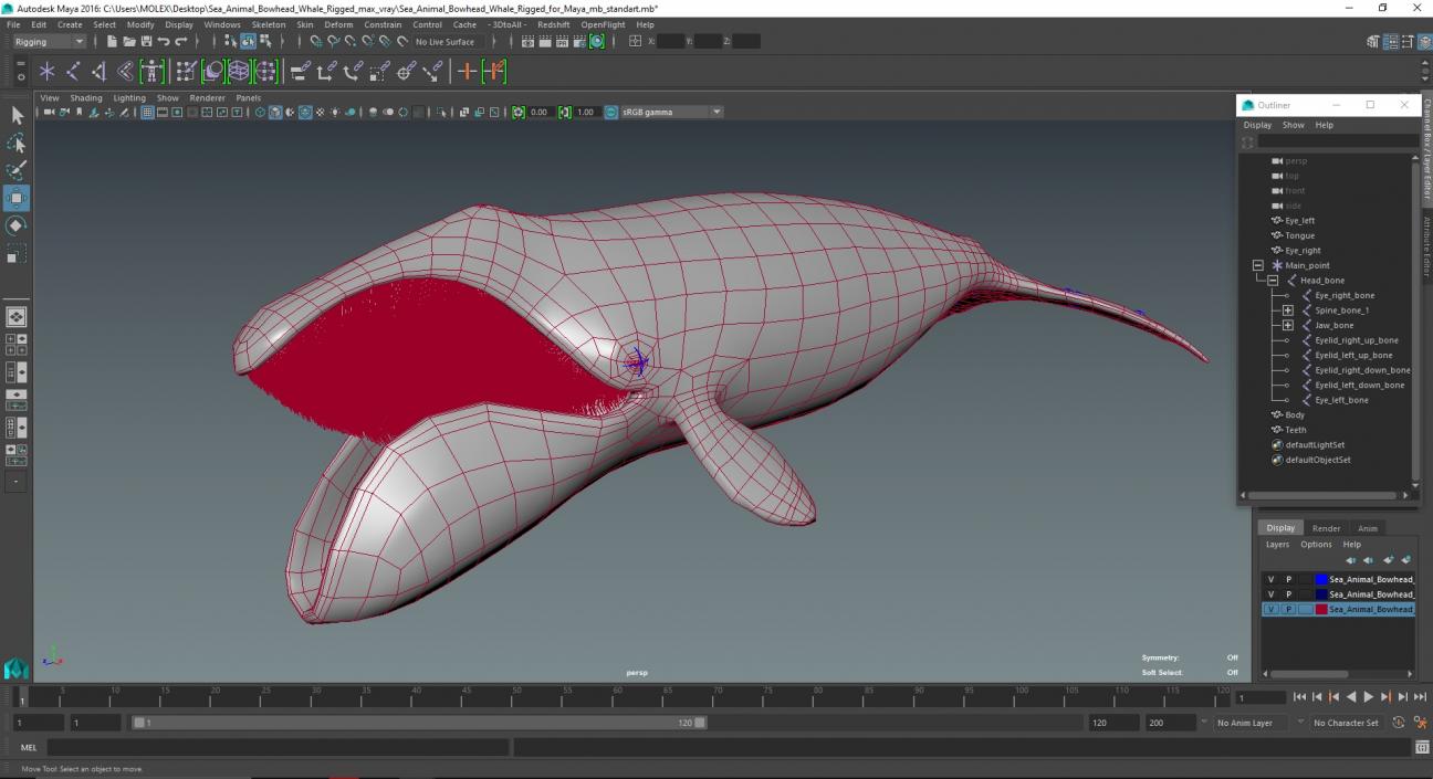 3D model Sea Animal Bowhead Whale Rigged for Maya