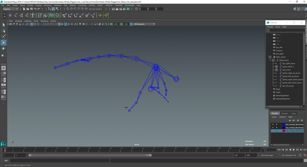 3D model Sea Animal Bowhead Whale Rigged for Maya