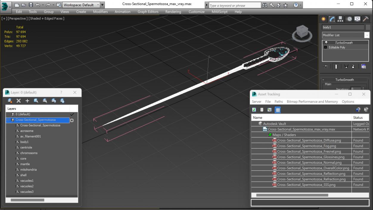 Cross-Sectional Spermotozoa 3D