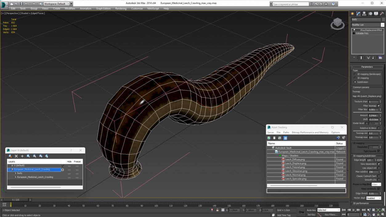 3D European Medicinal Leech Crawling model