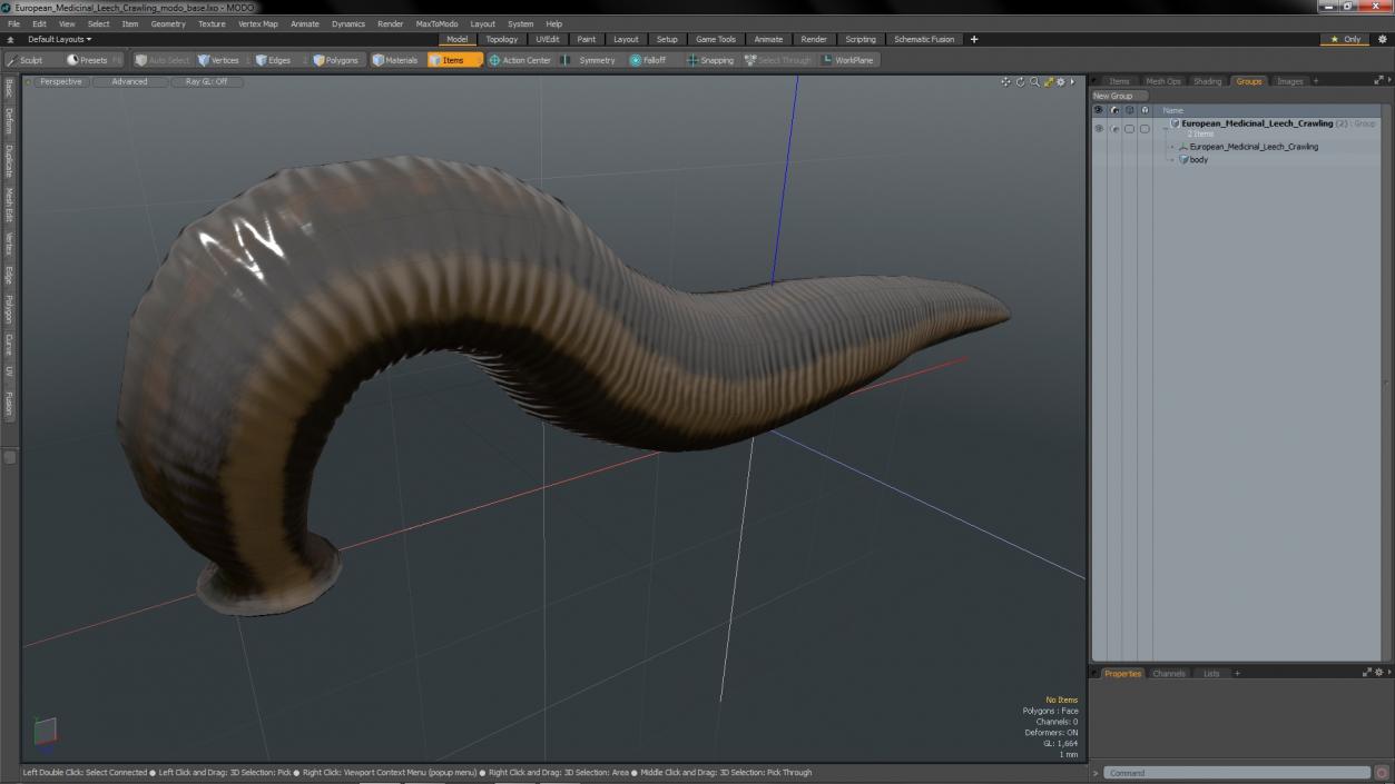 3D European Medicinal Leech Crawling model