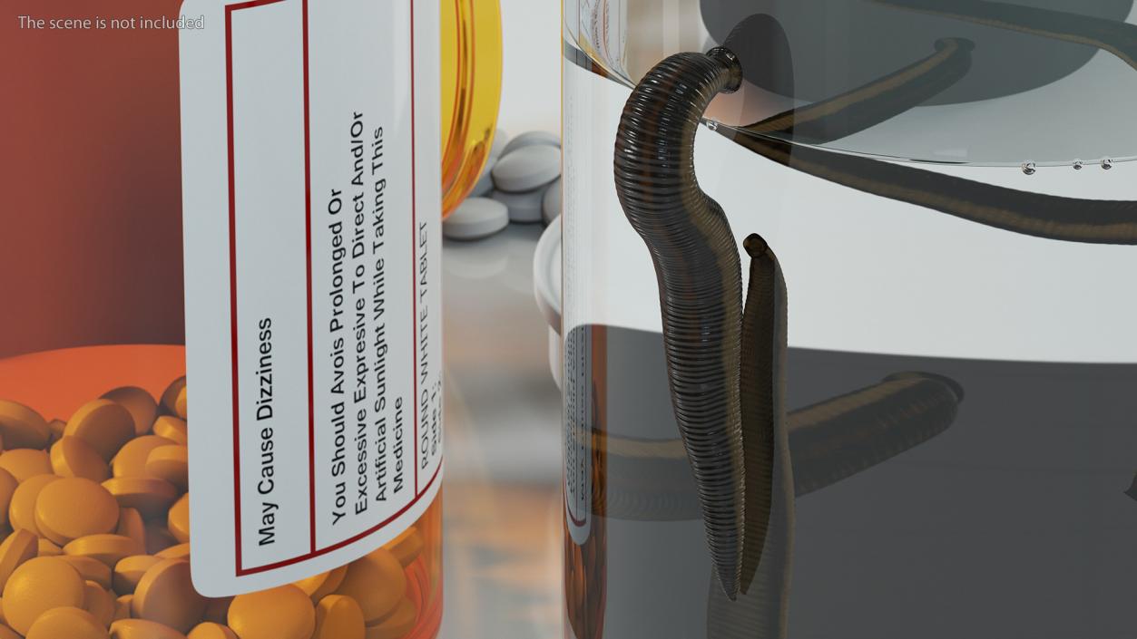 3D European Medicinal Leech Crawling model