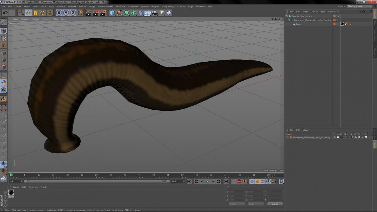 3D European Medicinal Leech Crawling model