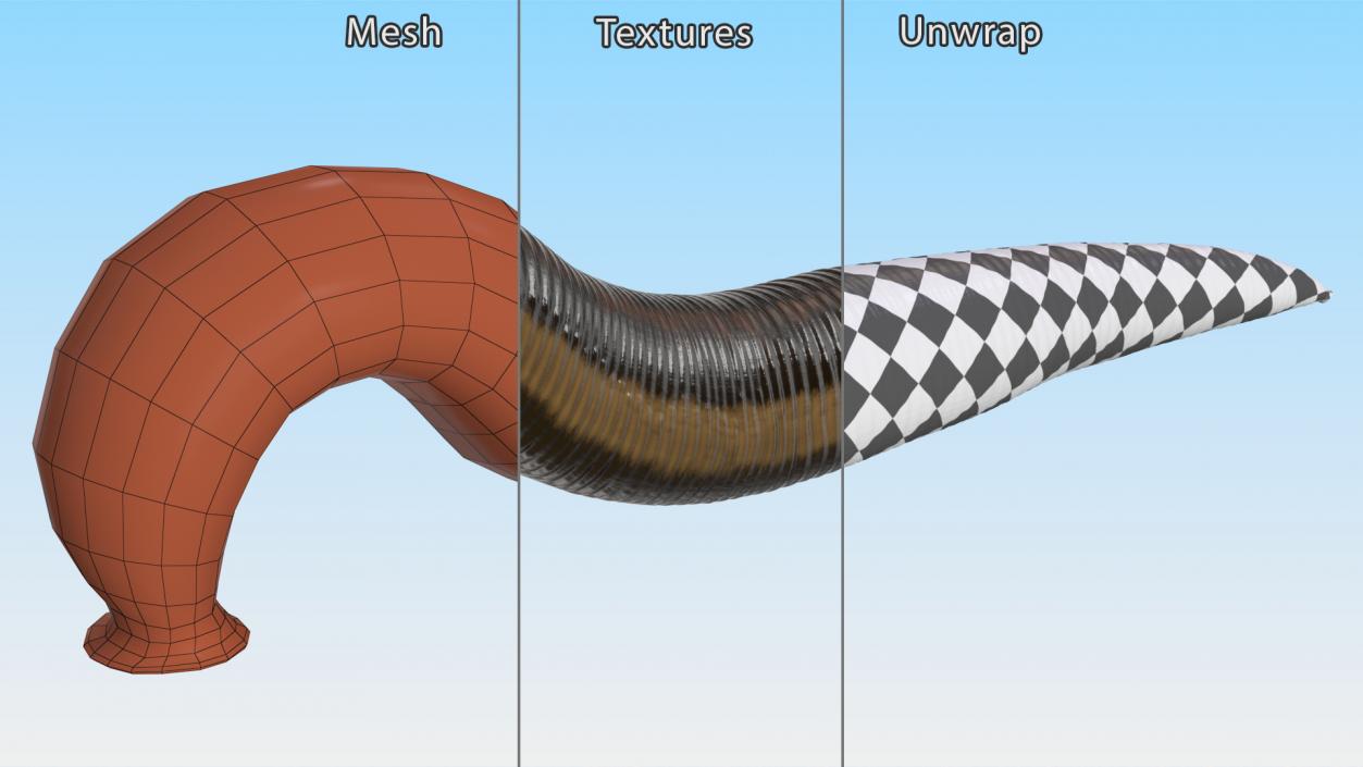 3D European Medicinal Leech Crawling model