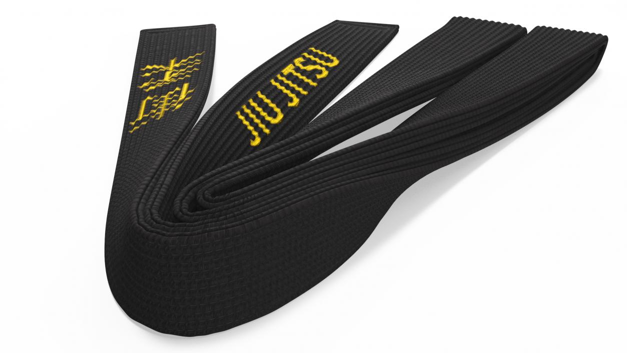 Black Martial Arts Obi Belts Set 3D