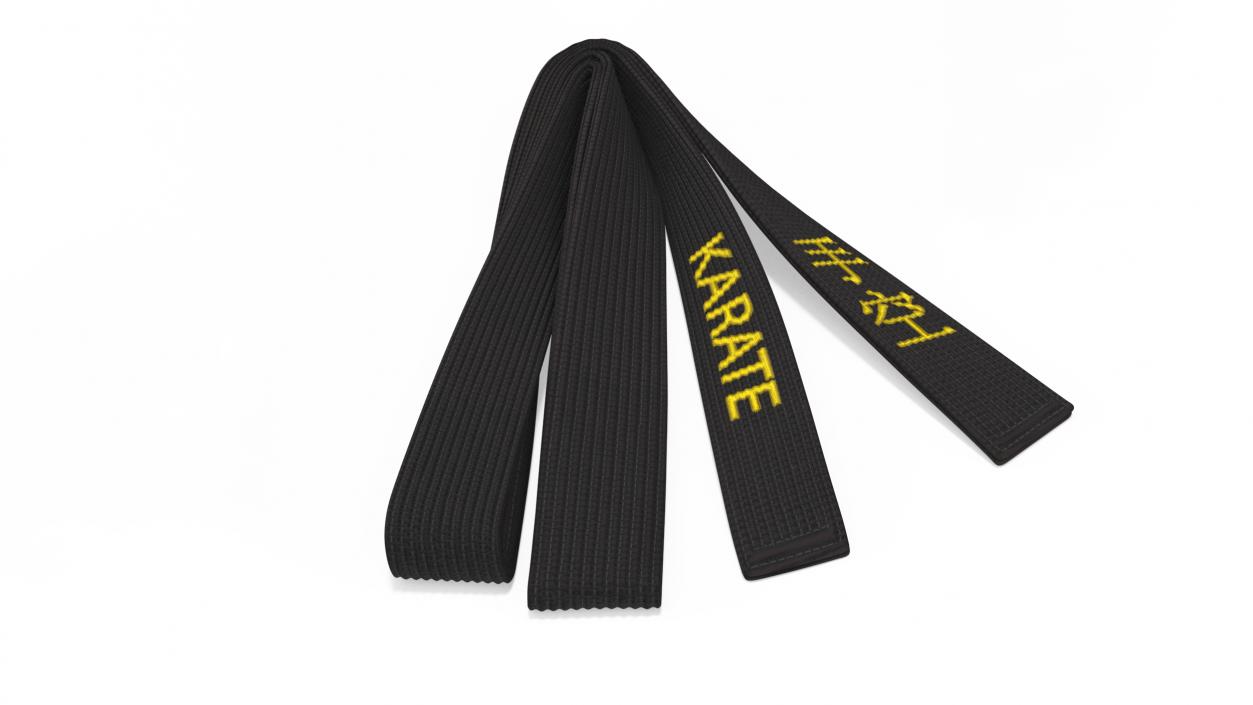 Black Martial Arts Obi Belts Set 3D