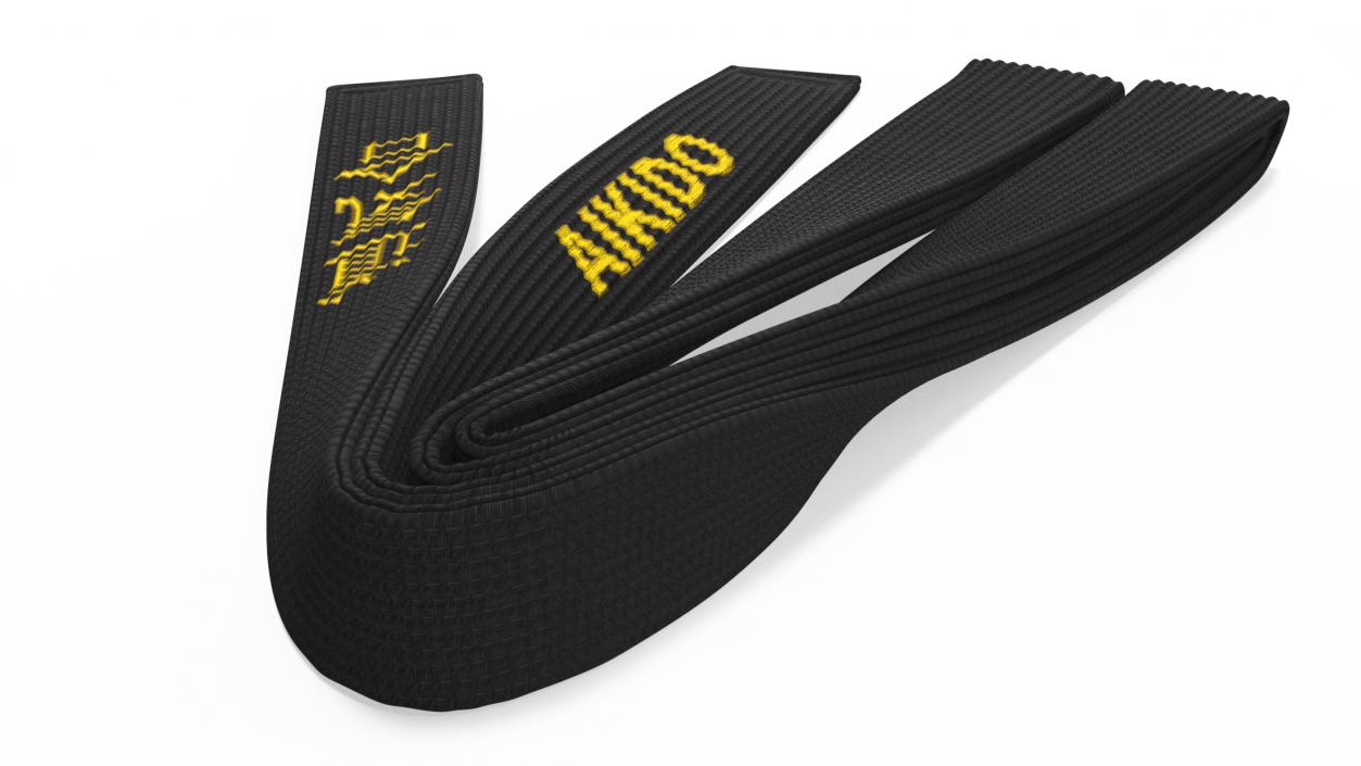 Black Martial Arts Obi Belts Set 3D