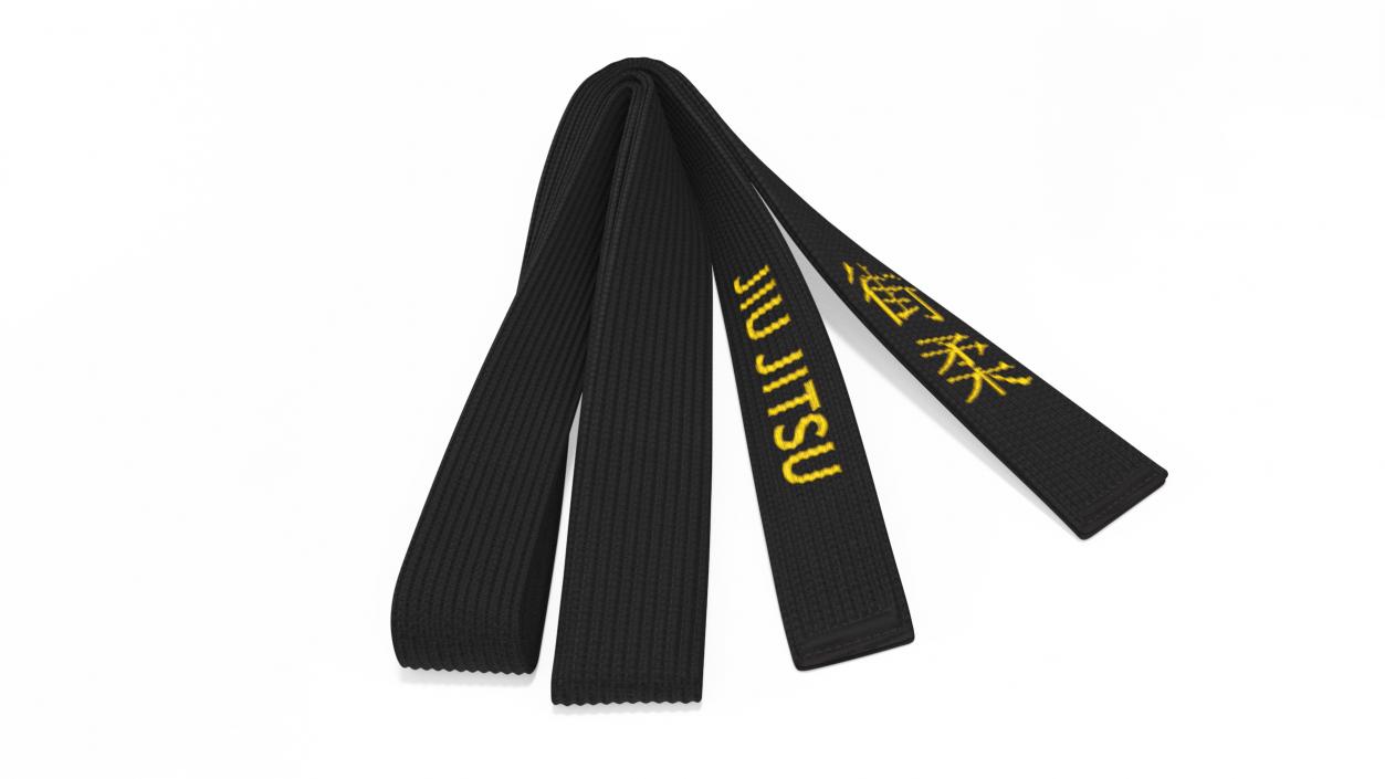 Black Martial Arts Obi Belts Set 3D