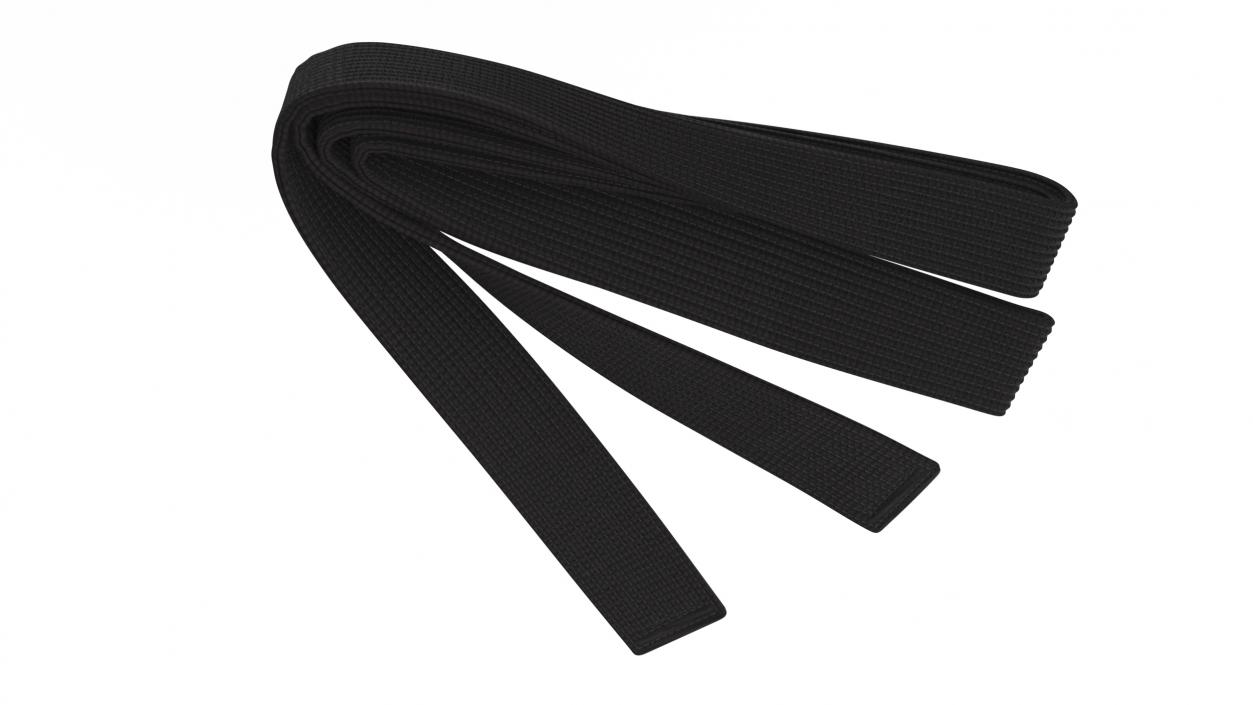 Black Martial Arts Obi Belts Set 3D