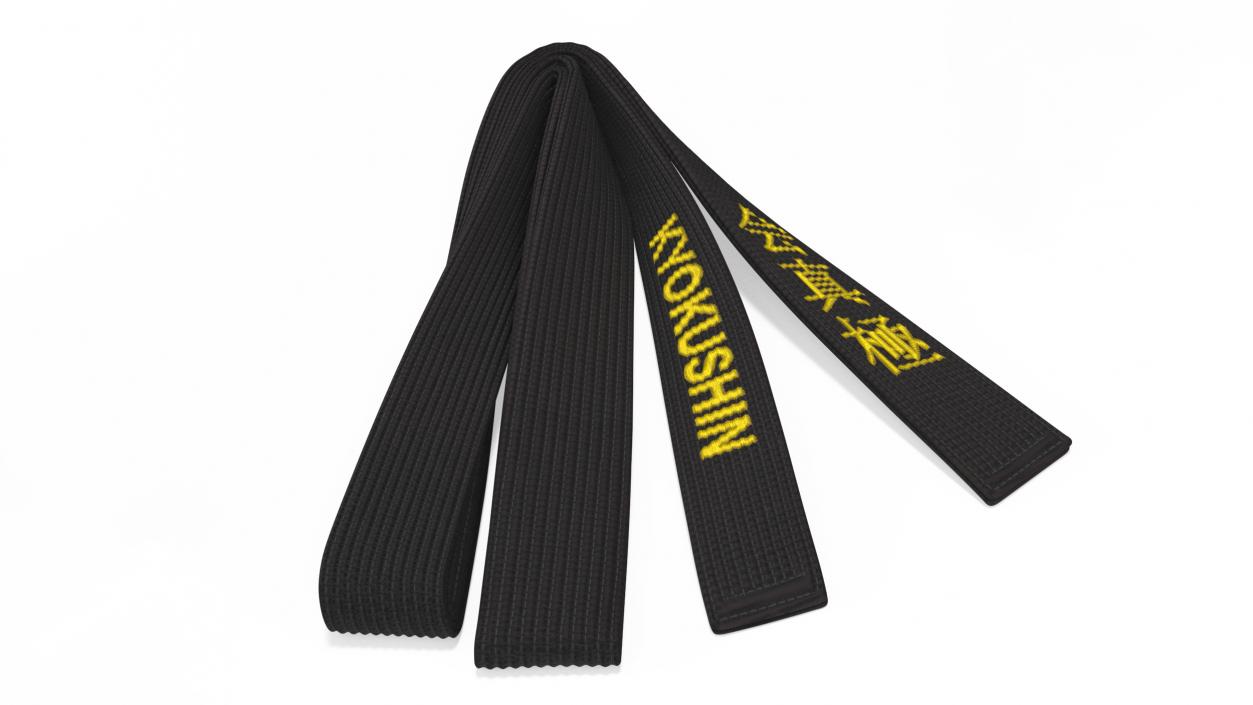 Black Martial Arts Obi Belts Set 3D