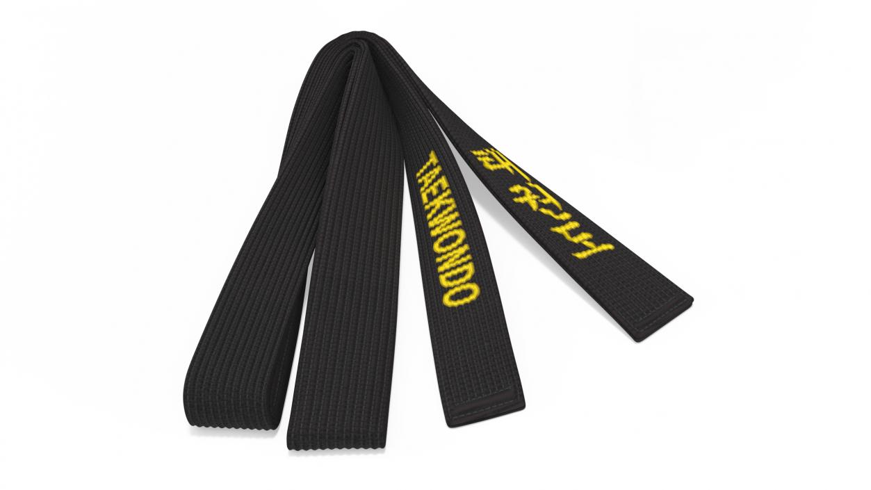 Black Martial Arts Obi Belts Set 3D