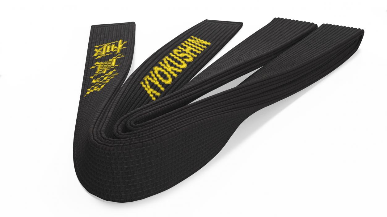 Black Martial Arts Obi Belts Set 3D