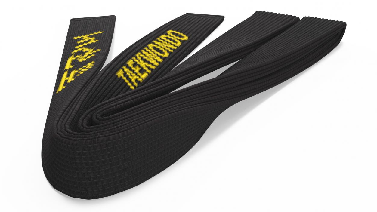 Black Martial Arts Obi Belts Set 3D