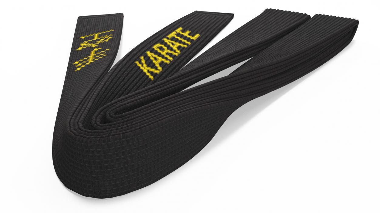 Black Martial Arts Obi Belts Set 3D