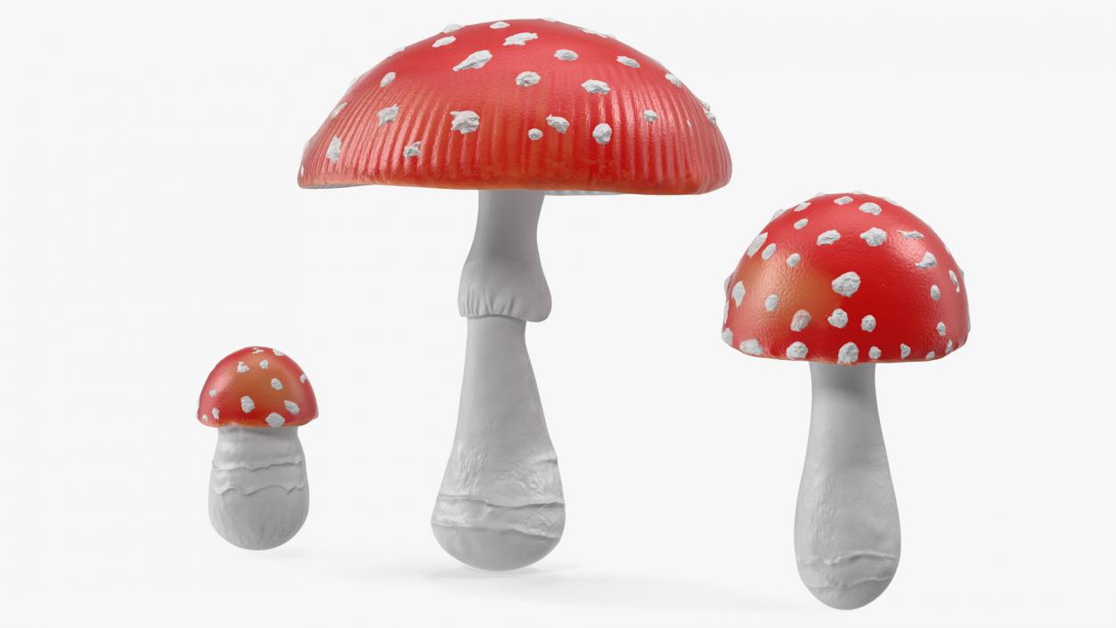 3D Amanita Mushrooms Set