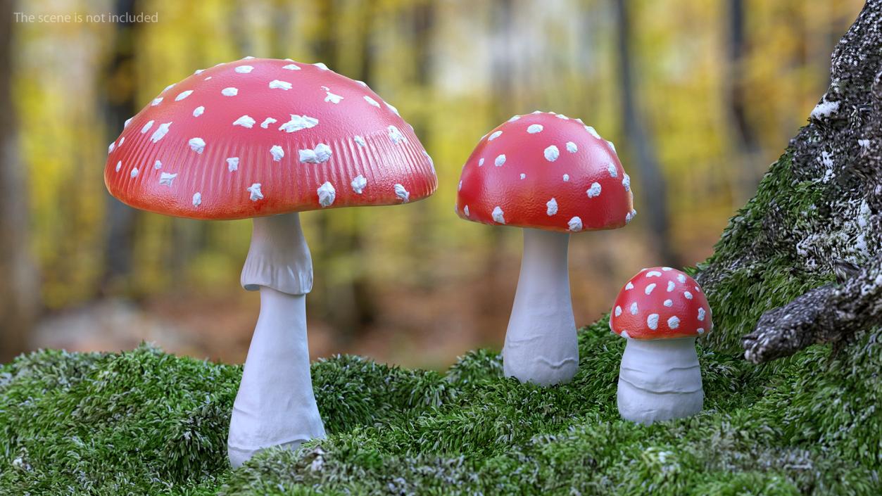 3D Amanita Mushrooms Set