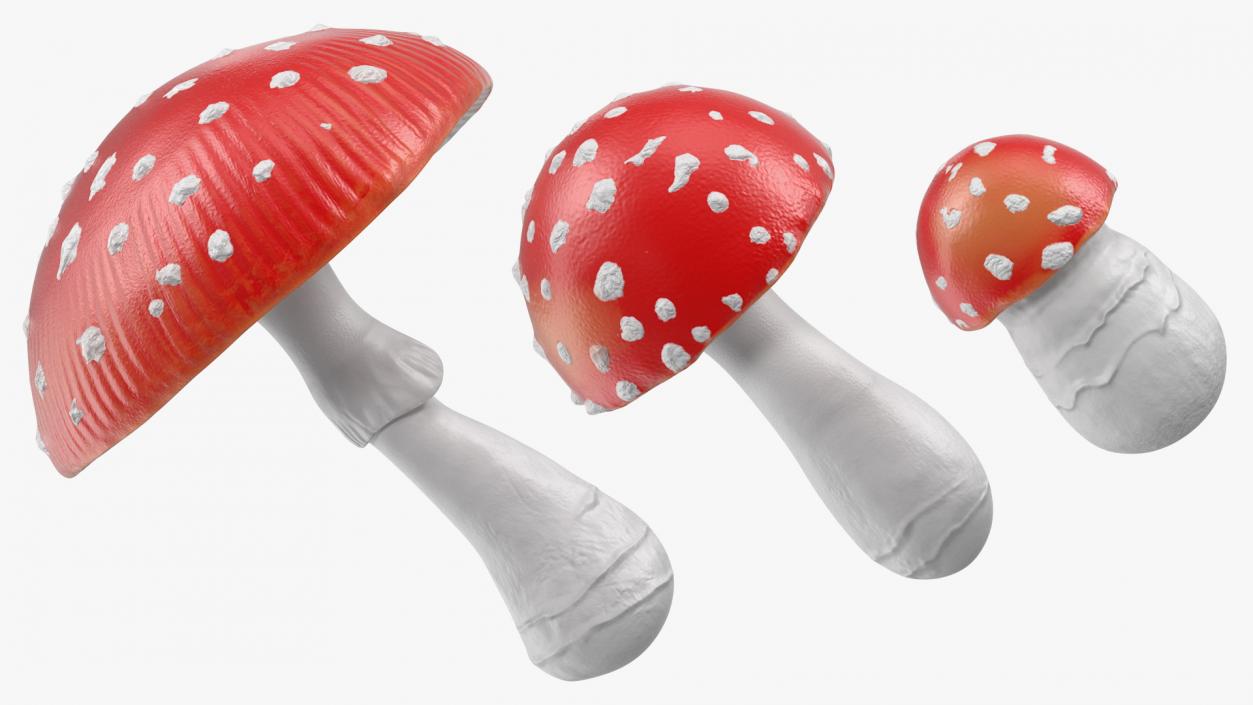 3D Amanita Mushrooms Set