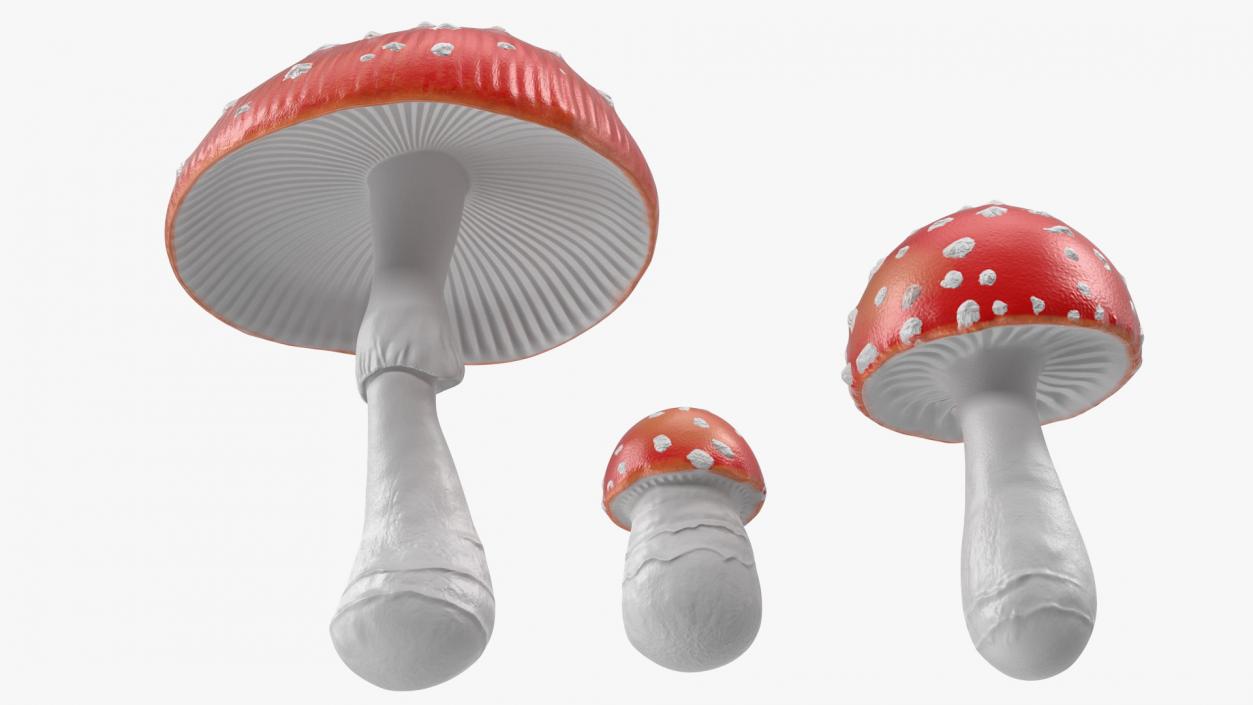 3D Amanita Mushrooms Set