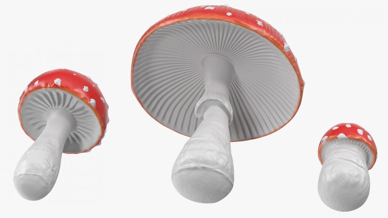 3D Amanita Mushrooms Set