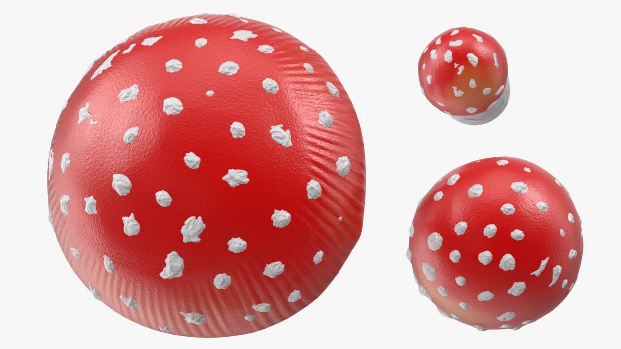 3D Amanita Mushrooms Set