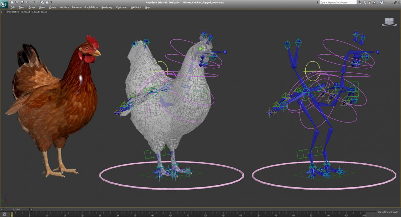 3D model Brown Chicken Rigged