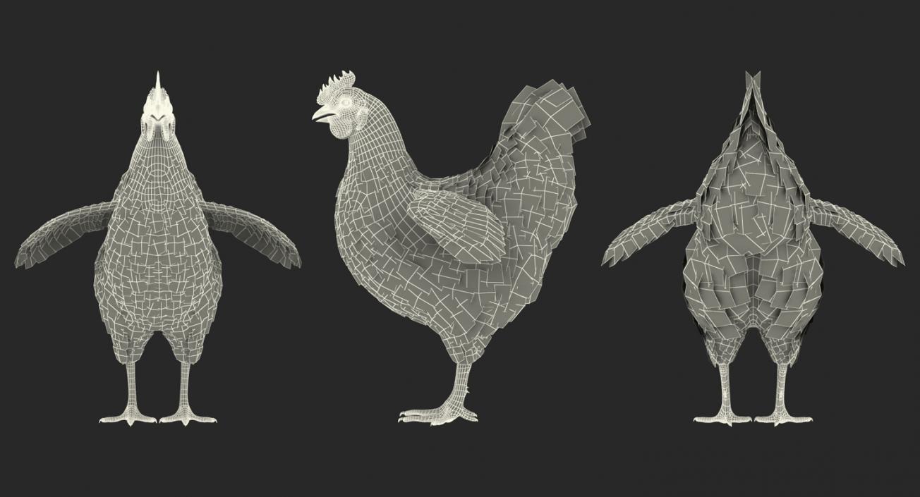 3D model Brown Chicken Rigged