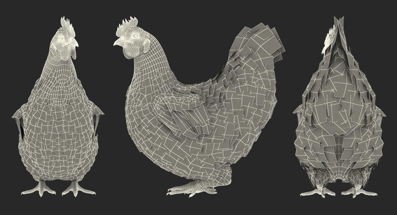 3D model Brown Chicken Rigged