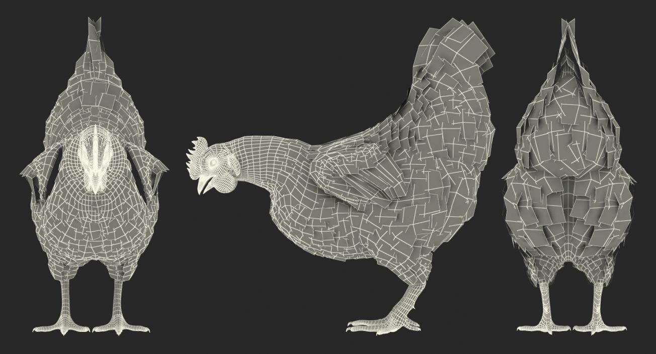 3D model Brown Chicken Rigged