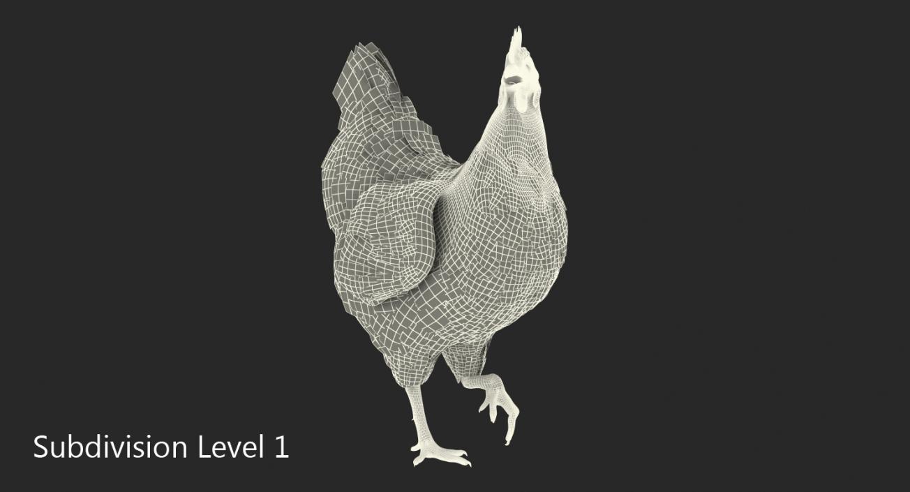 3D model Brown Chicken Rigged