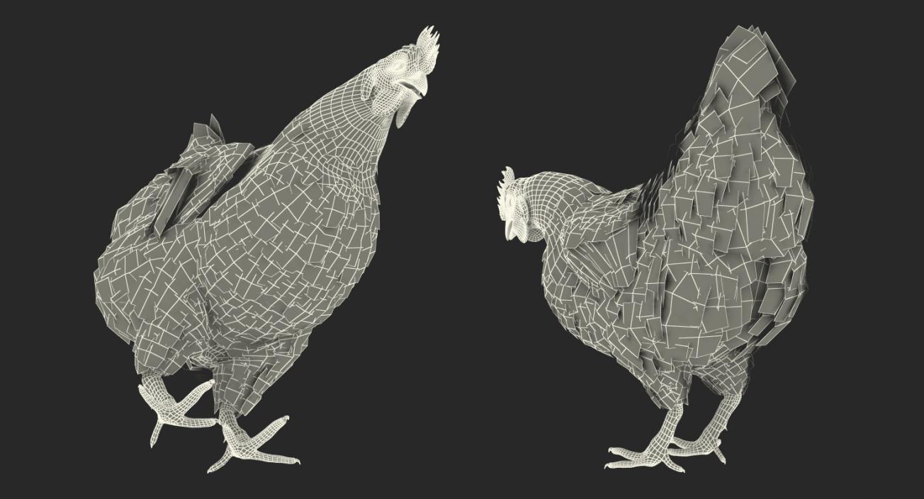 3D model Brown Chicken Rigged