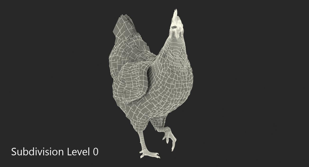 3D model Brown Chicken Rigged