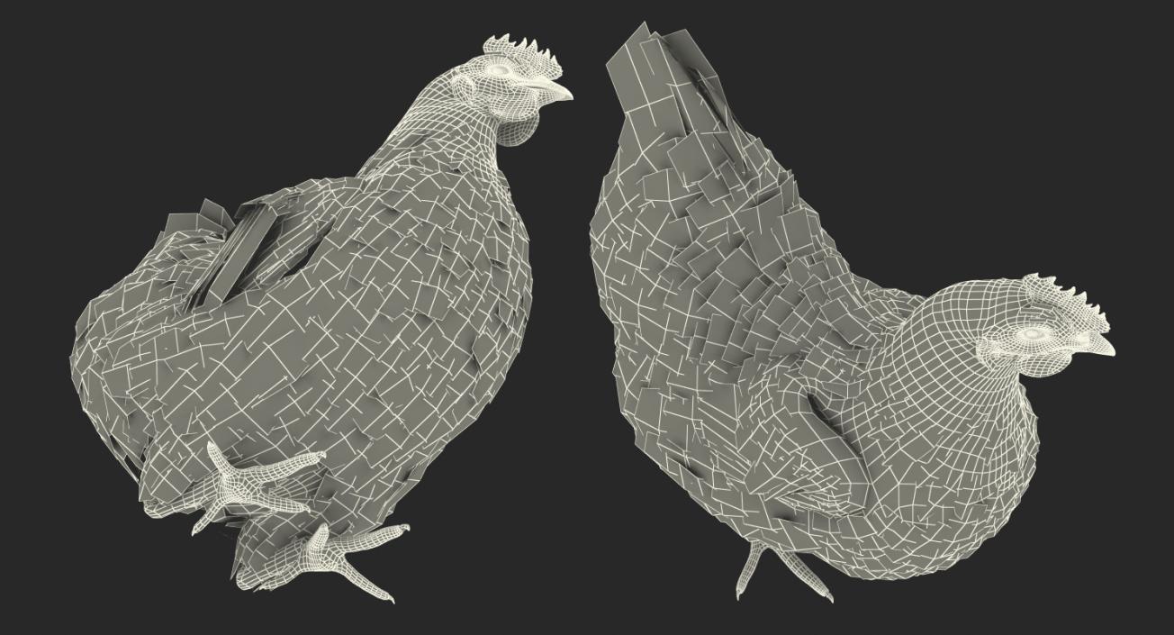 3D model Brown Chicken Rigged