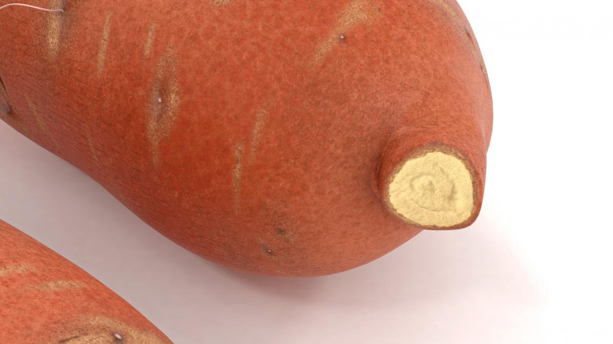 3D model Sweet Potatoes Brown