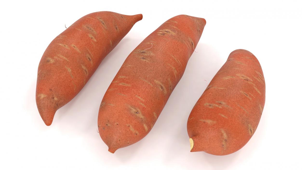 3D model Sweet Potatoes Brown