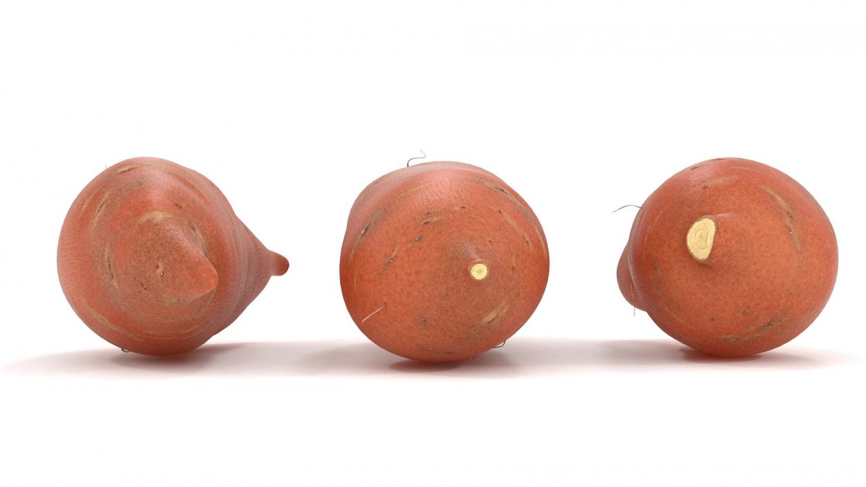 3D model Sweet Potatoes Brown