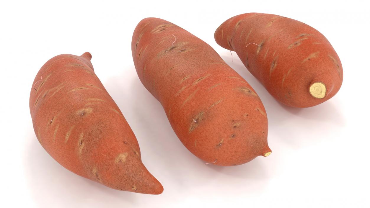 3D model Sweet Potatoes Brown