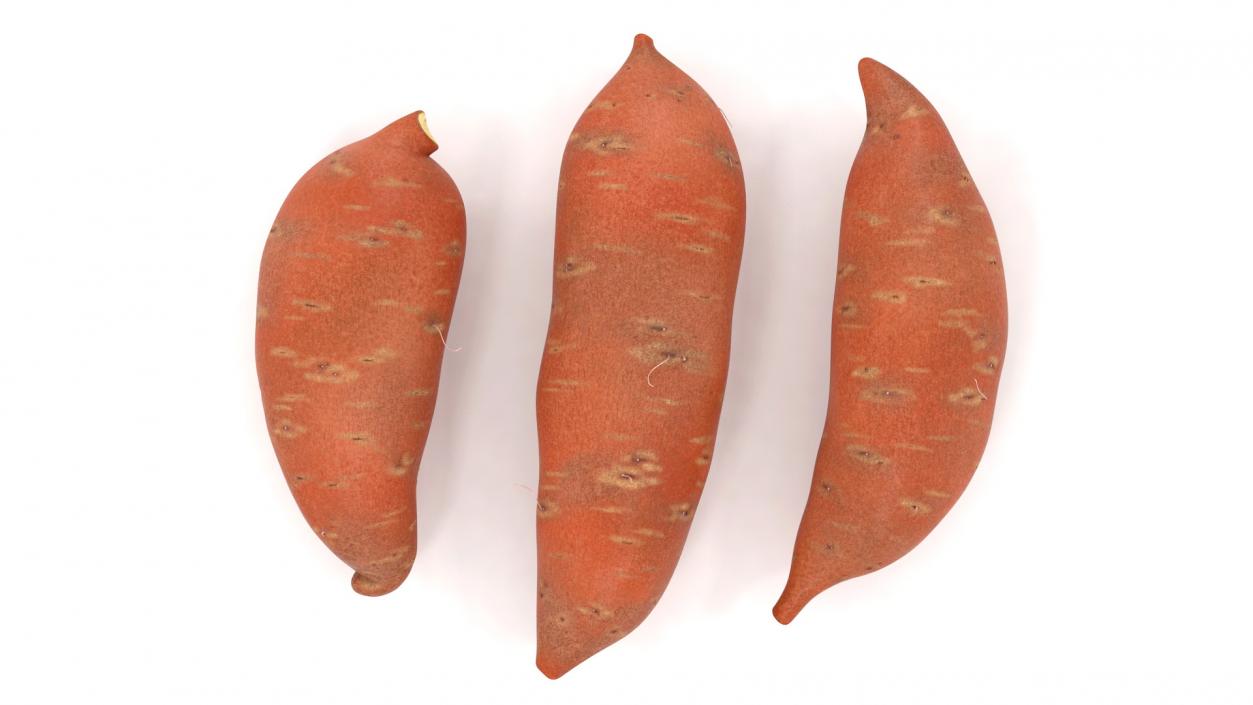 3D model Sweet Potatoes Brown