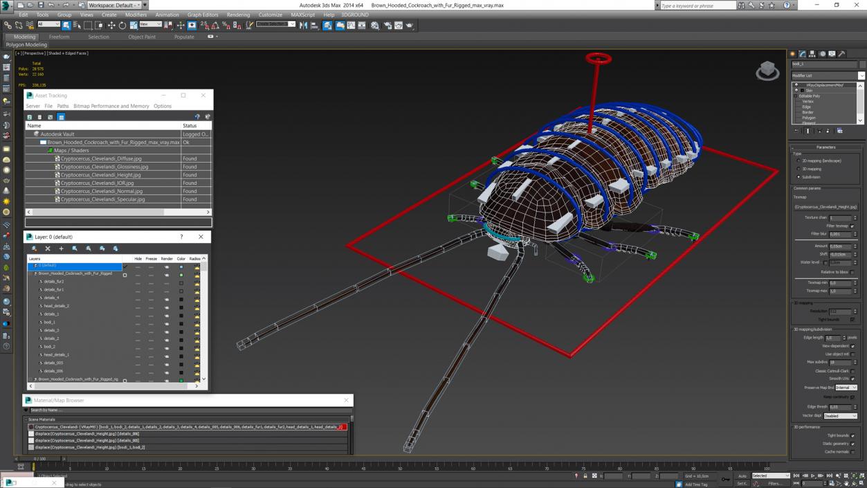 3D Brown Hooded Cockroach with Fur Rigged model