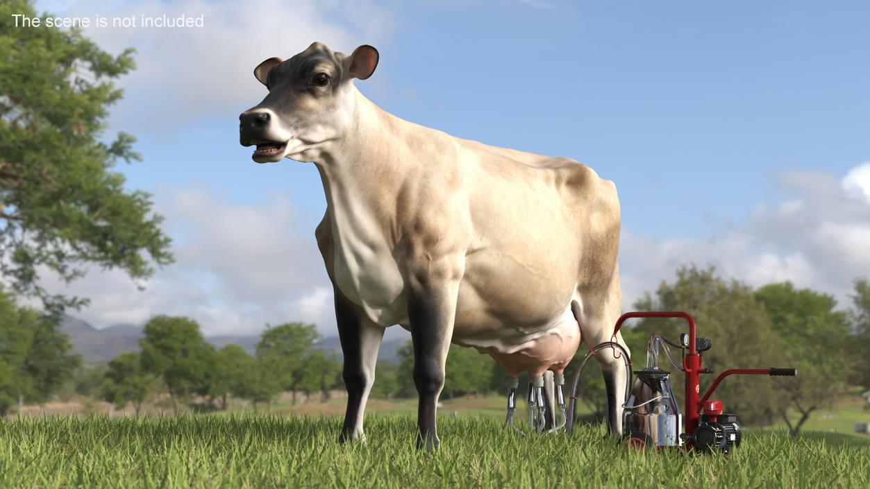 3D Jersey Dairy Cow and Milking Machine