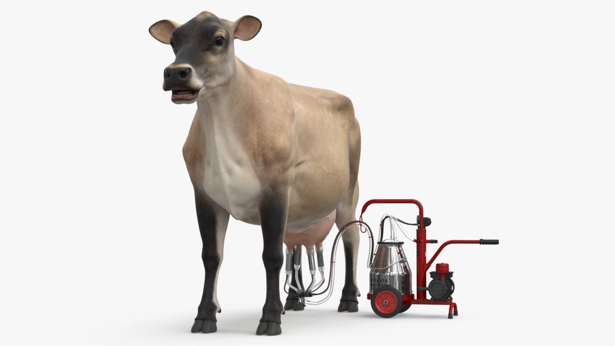 3D Jersey Dairy Cow and Milking Machine