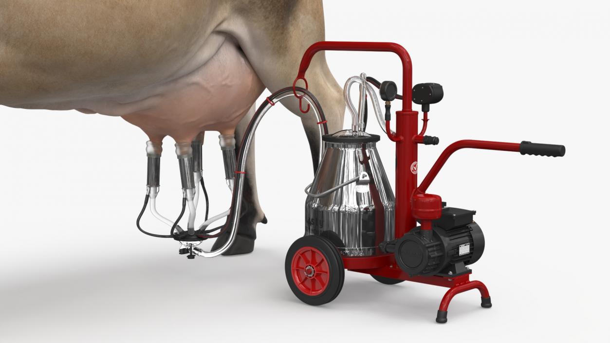 3D Jersey Dairy Cow and Milking Machine