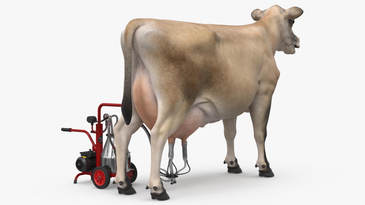 3D Jersey Dairy Cow and Milking Machine