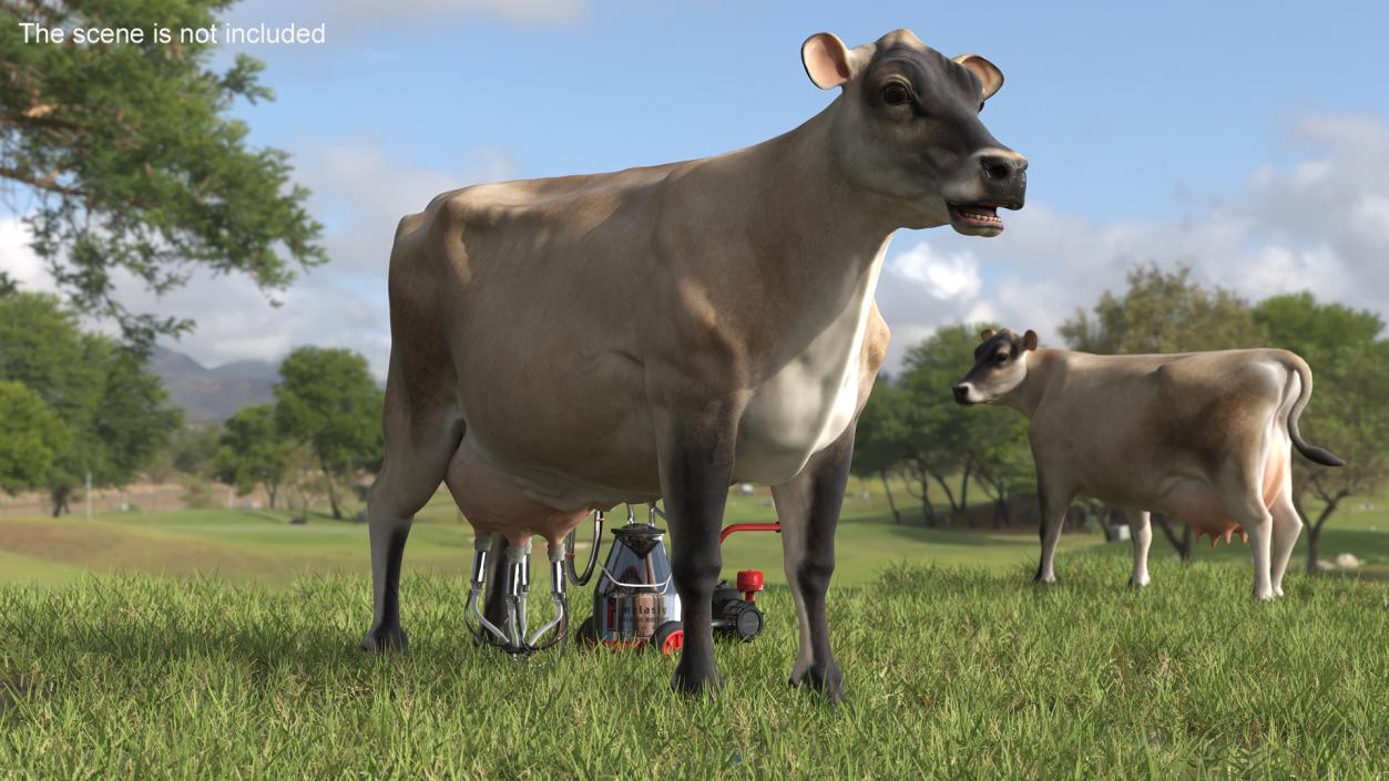 3D Jersey Dairy Cow and Milking Machine