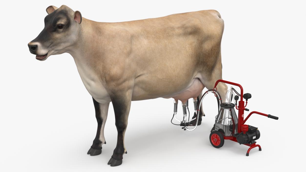 3D Jersey Dairy Cow and Milking Machine